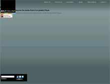 Tablet Screenshot of beltcollins.com